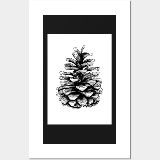 Fir Cone Pen and Ink Drawing Wall Art by AdamRegester